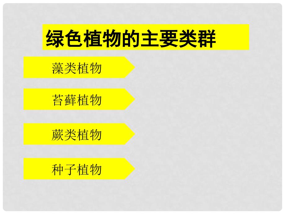 山东省郓城县郓城镇南城初级中学七年级生物上册 2.1.1 绿色植物的主要类群课件 （新版）济南版_第2页