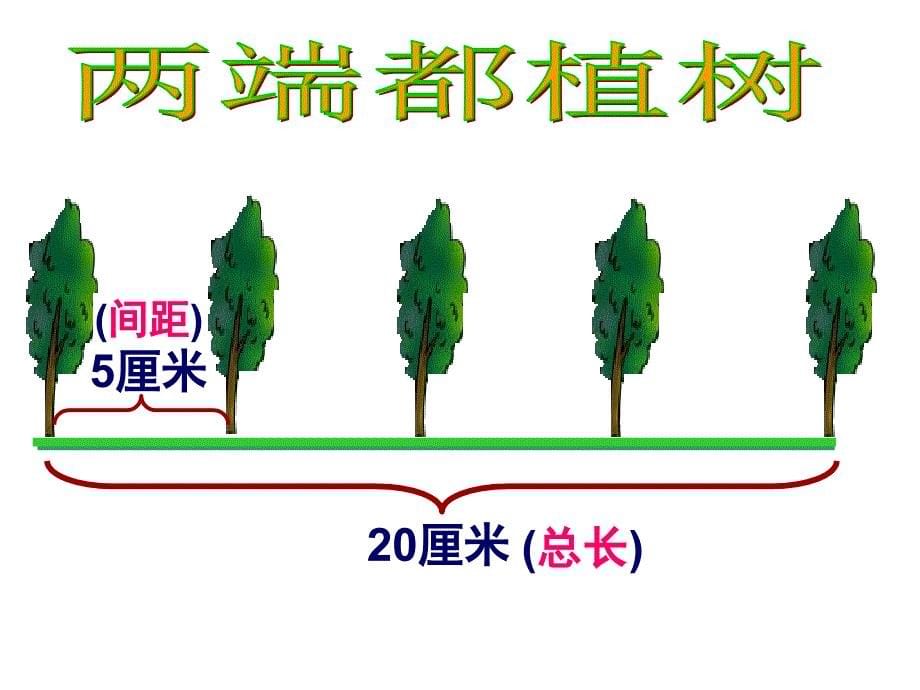 教育专题：植树问题(两端都栽)_第5页