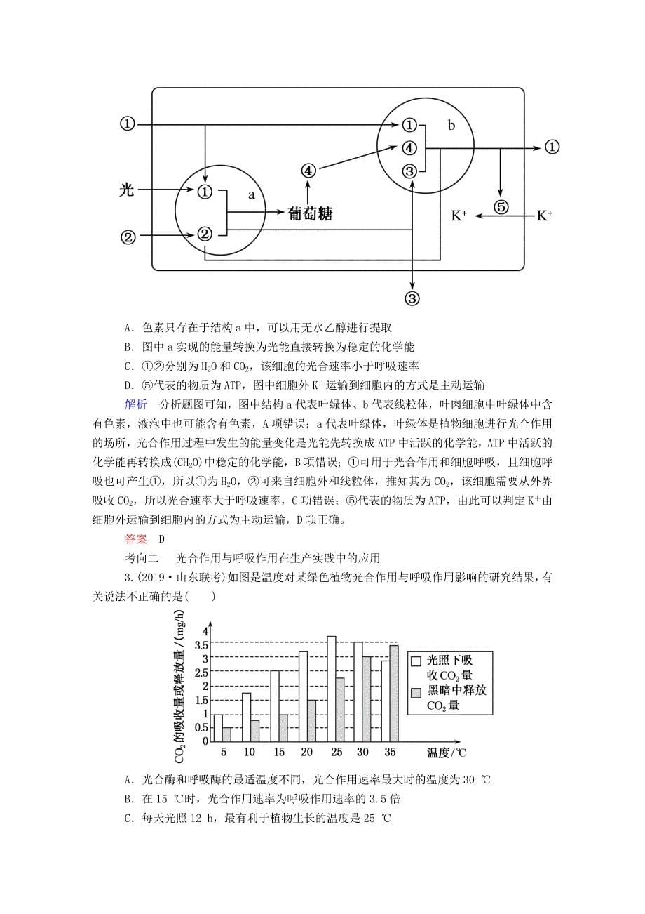 2020版高考生物一轮复习第三单元细胞的能量供应和利用第04讲光合作用教案新人教版.docx_第5页