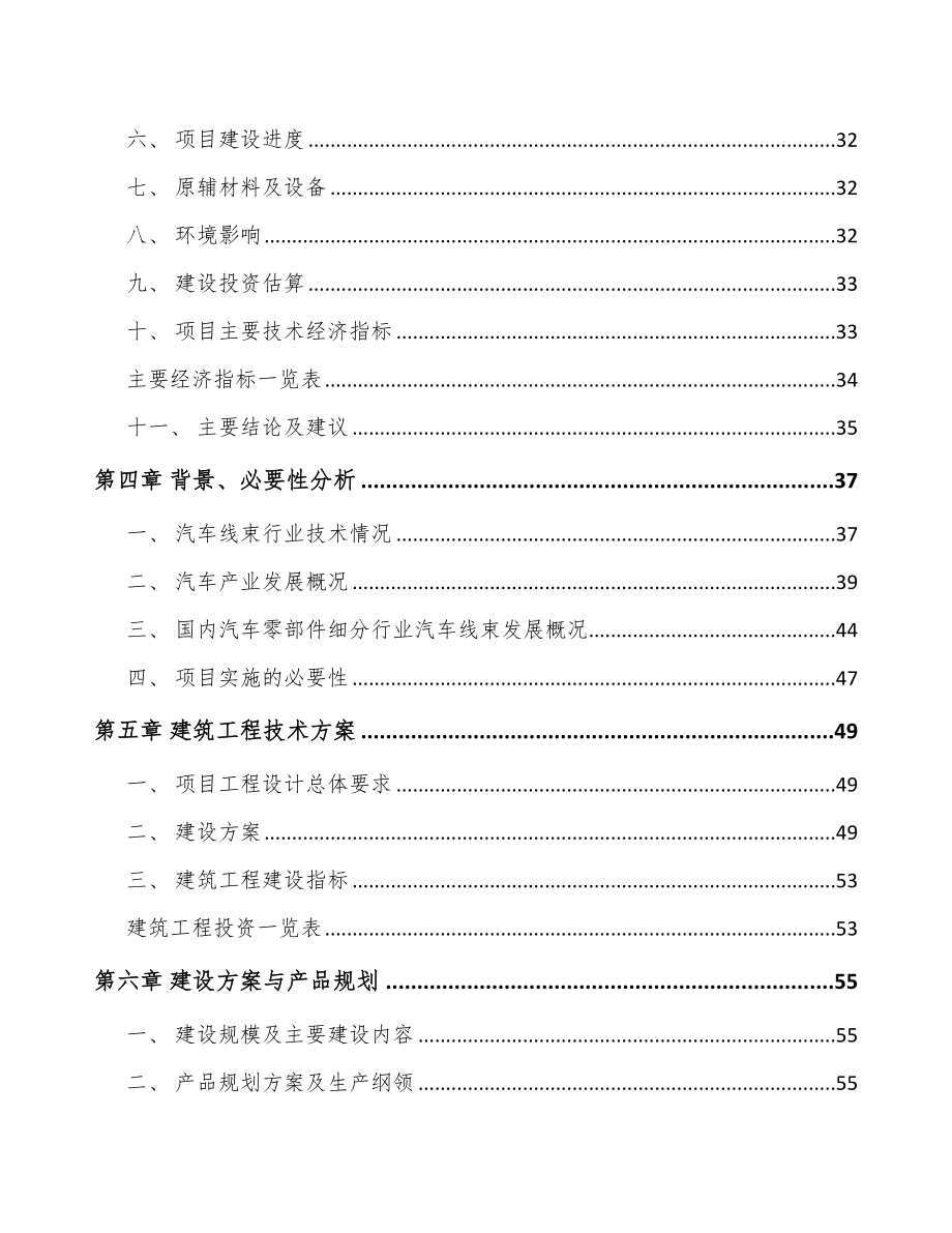 常州汽车线束项目可行性研究报告_第2页