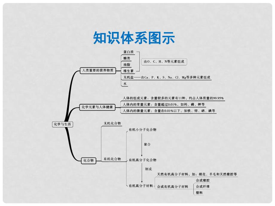 中考化学复习 第12单元 化学与生活 第1课时 人类重要的营养物质课件 （新版）新人教版_第2页