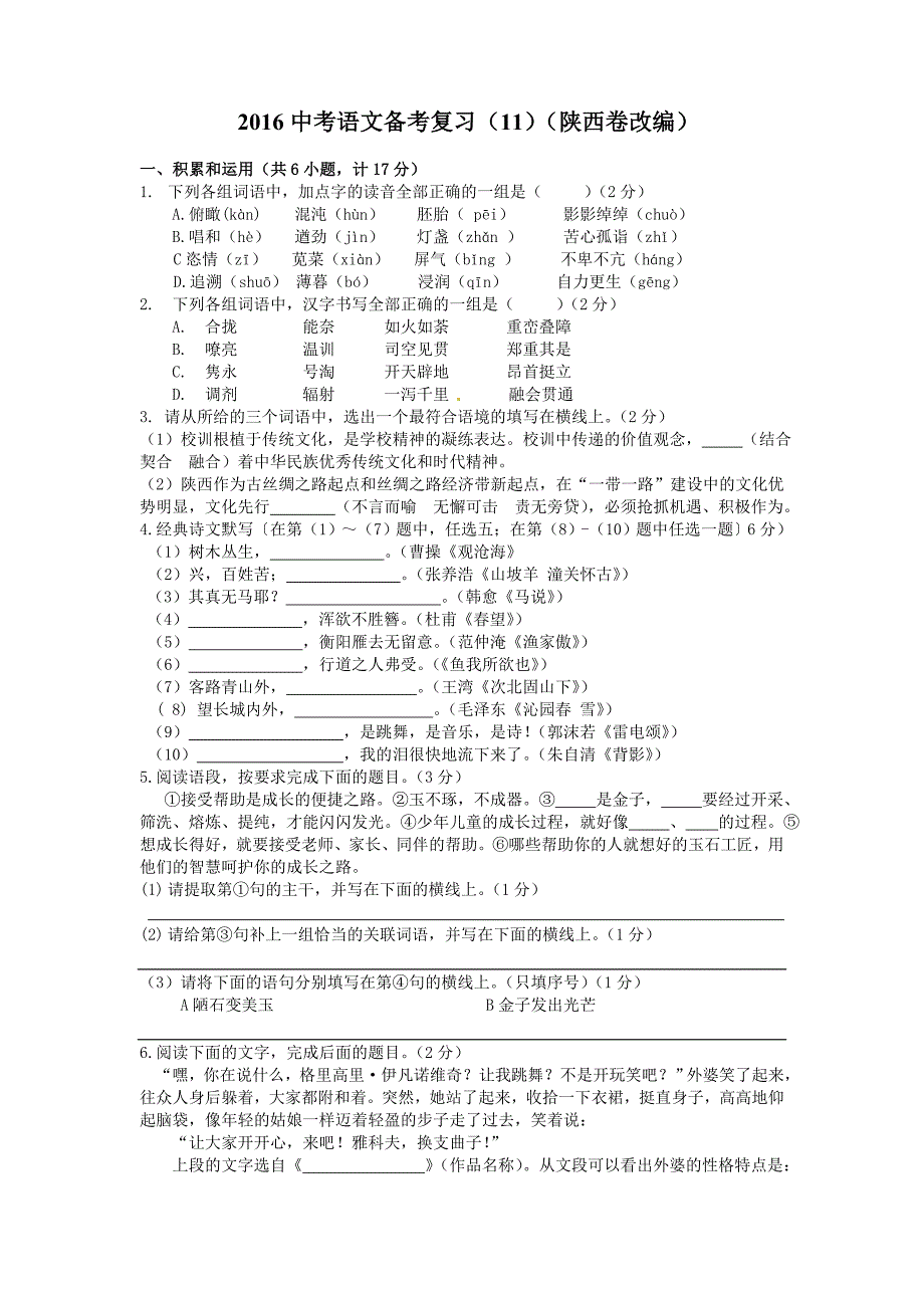 教育专题：2016中考语文备考复习（11）（陕西卷改编）_第1页