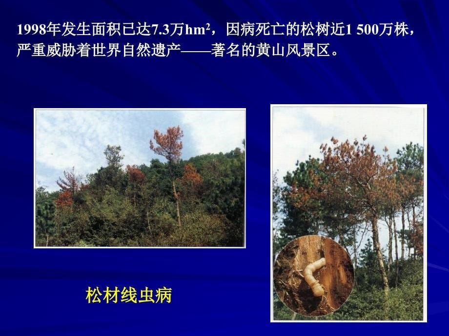 园林植物病虫害防治课件1ppt课件_第5页