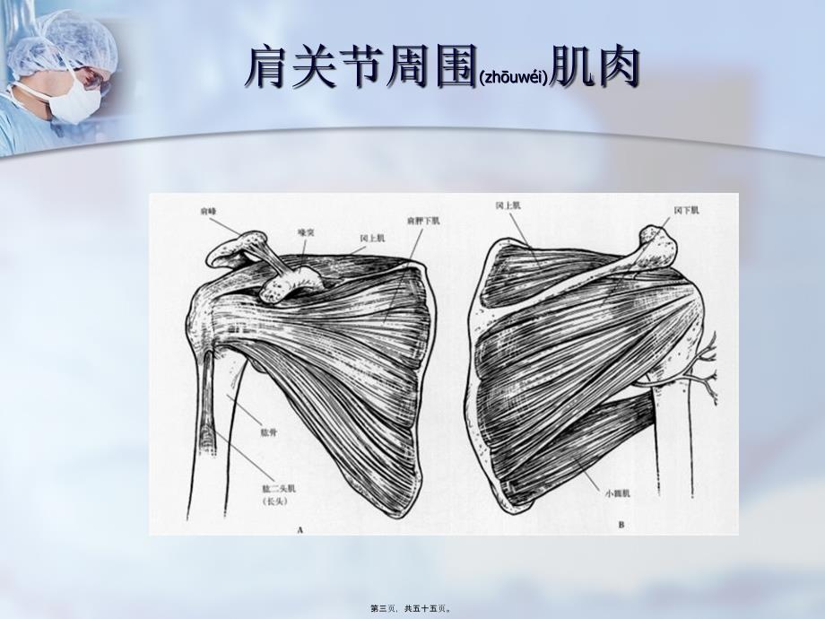 医学专题—肱骨近端骨折_第3页