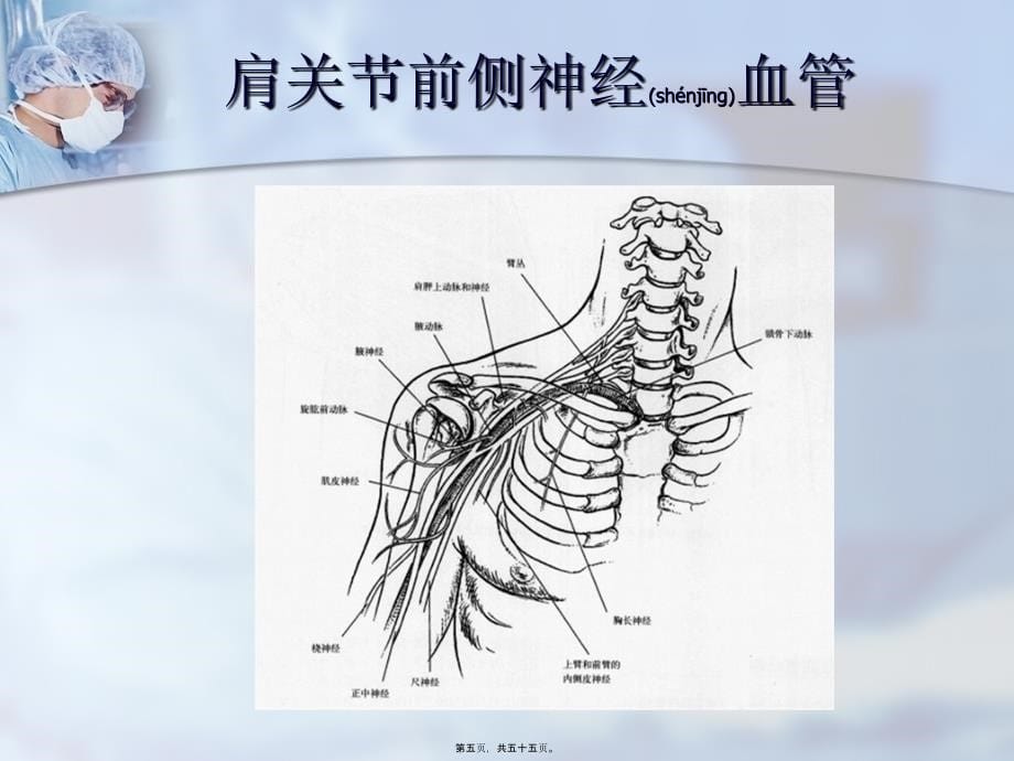 医学专题—肱骨近端骨折_第5页