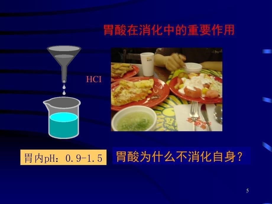 消化性溃疡PPT精品文档_第5页