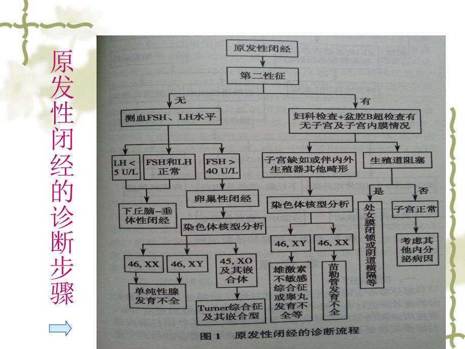 中医妇科闭经文档资料_第2页