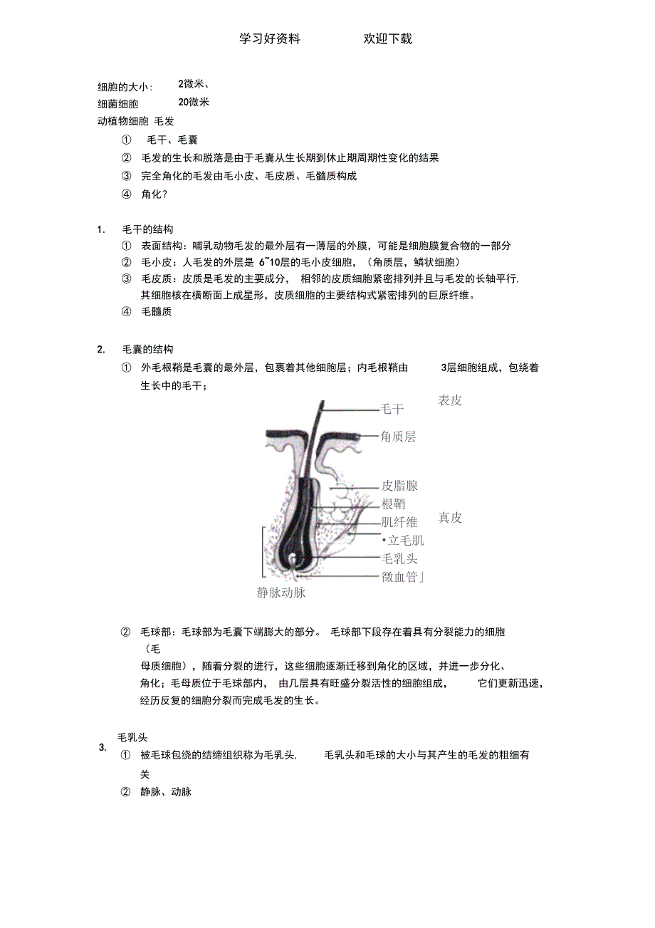 人体毛发基础知识点及图解_第1页