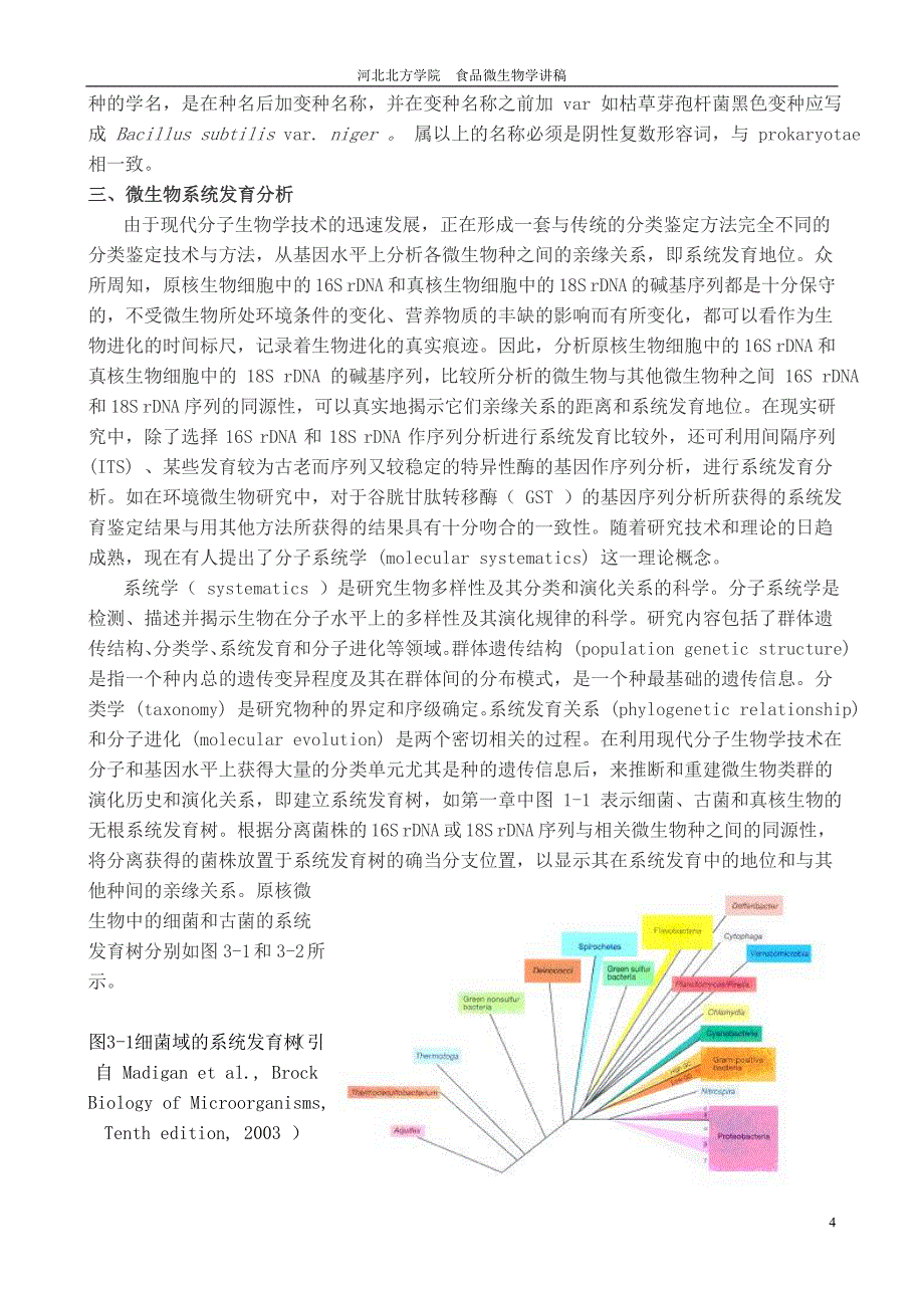 11微生物的分类及其分类方法.doc_第4页