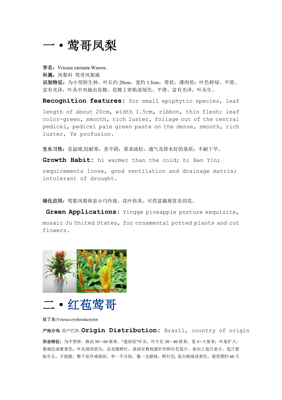 凤梨科莺哥属.doc_第1页