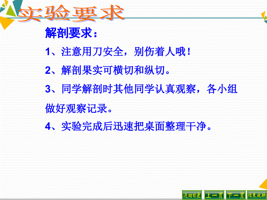 三年级下册科学课件2.1果实和种子共32张PPT苏教版_第4页