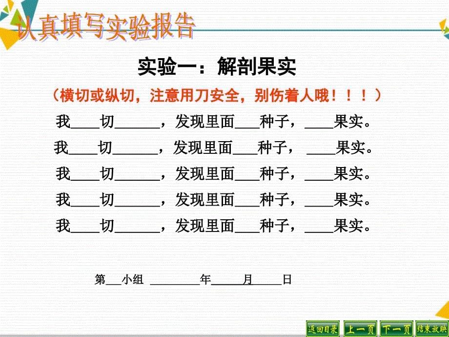 三年级下册科学课件2.1果实和种子共32张PPT苏教版_第5页