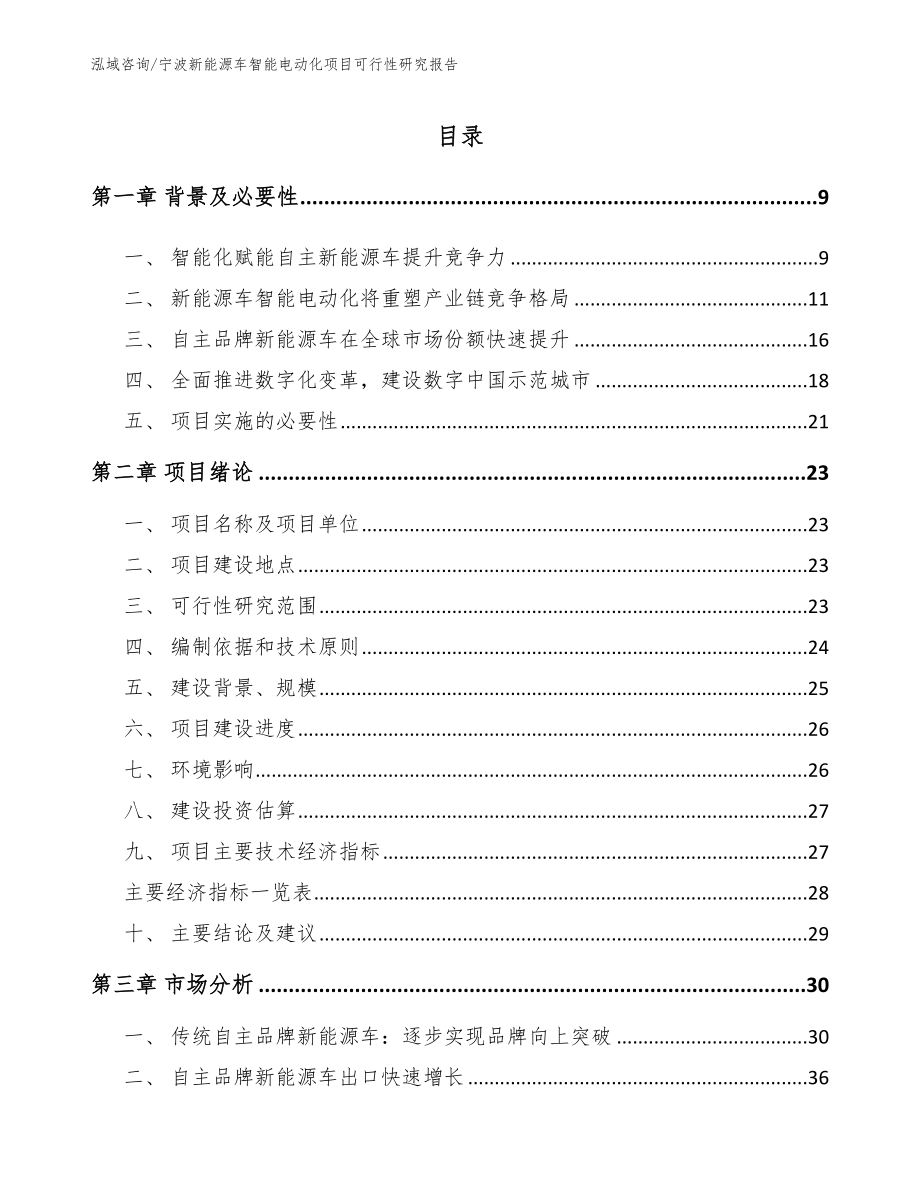 宁波新能源车智能电动化项目可行性研究报告模板_第1页