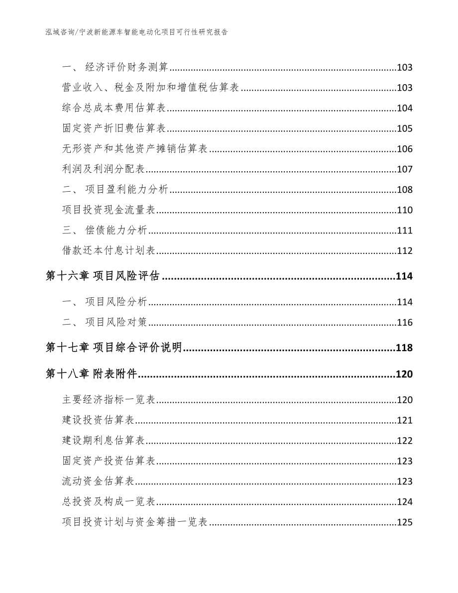宁波新能源车智能电动化项目可行性研究报告模板_第5页
