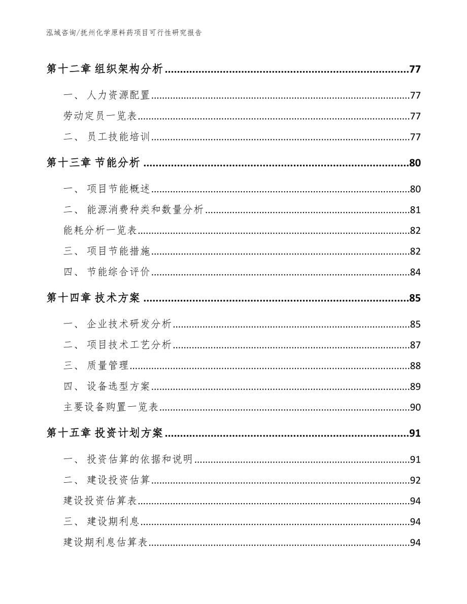 抚州化学原料药项目可行性研究报告_第5页