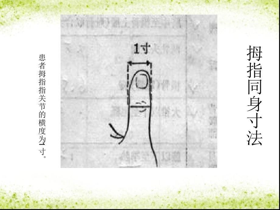 培训资料-常用穴位定位及应用_第5页