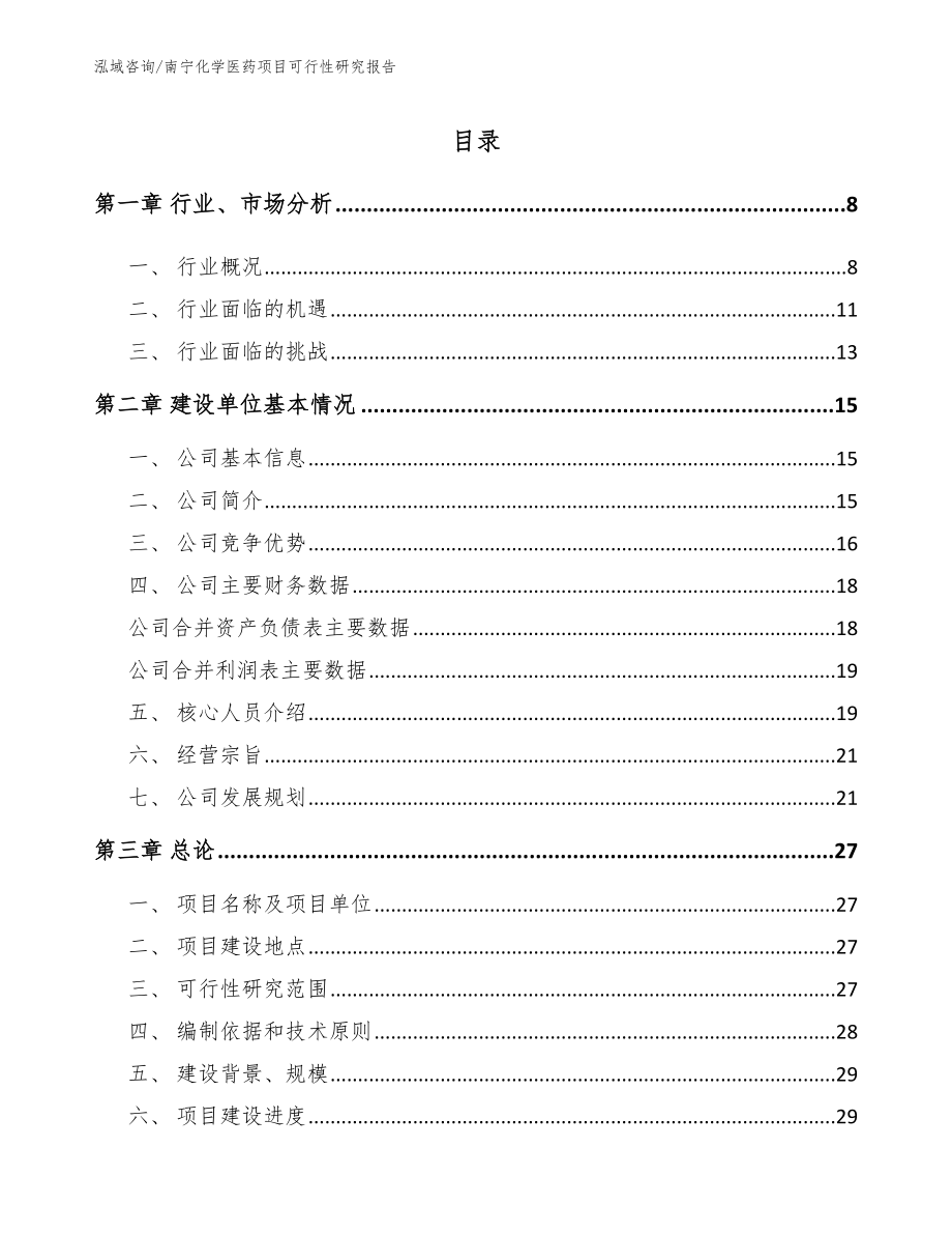 南宁化学医药项目可行性研究报告【范文模板】_第1页