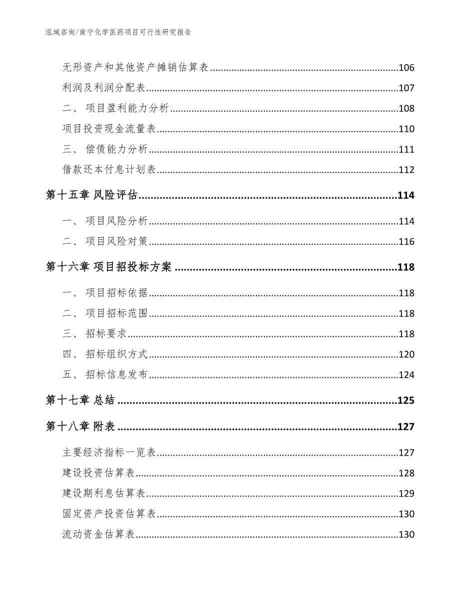 南宁化学医药项目可行性研究报告【范文模板】_第5页