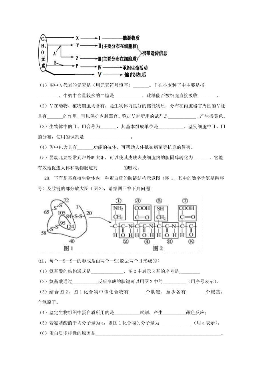 广东省揭阳市第三中学2023学年高一生物上学期第一次月考试题.doc_第5页