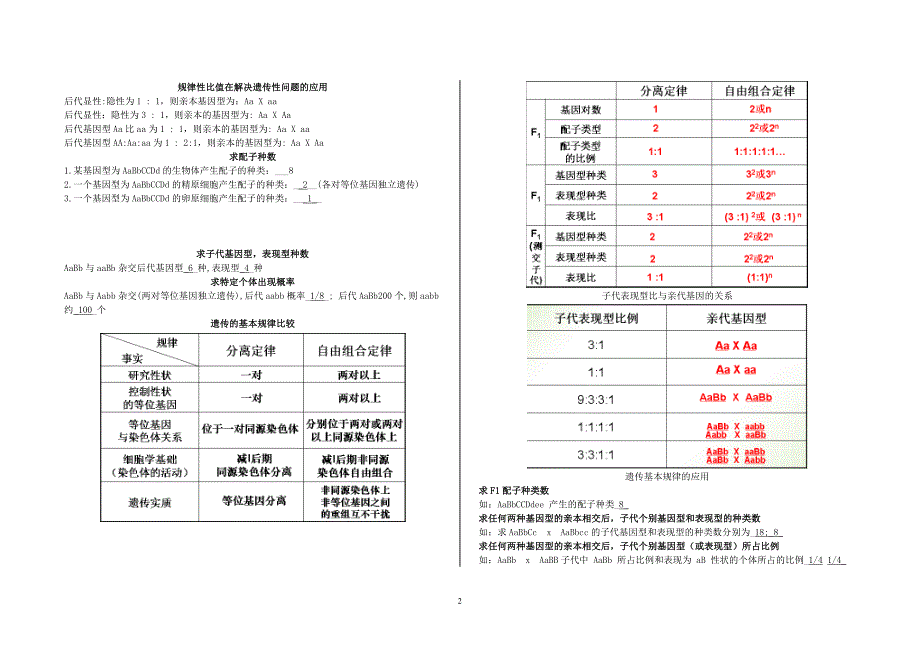 分离和自由组合定律32.doc_第2页