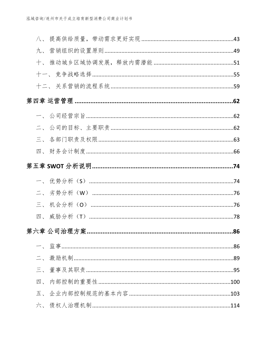 连州市关于成立培育新型消费公司商业计划书范文_第2页