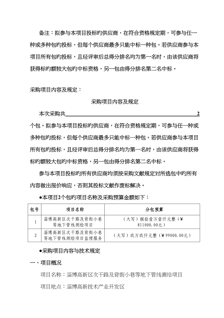 淄博高新区次干路及背街小巷等地下管线测绘服务采购项目_第4页