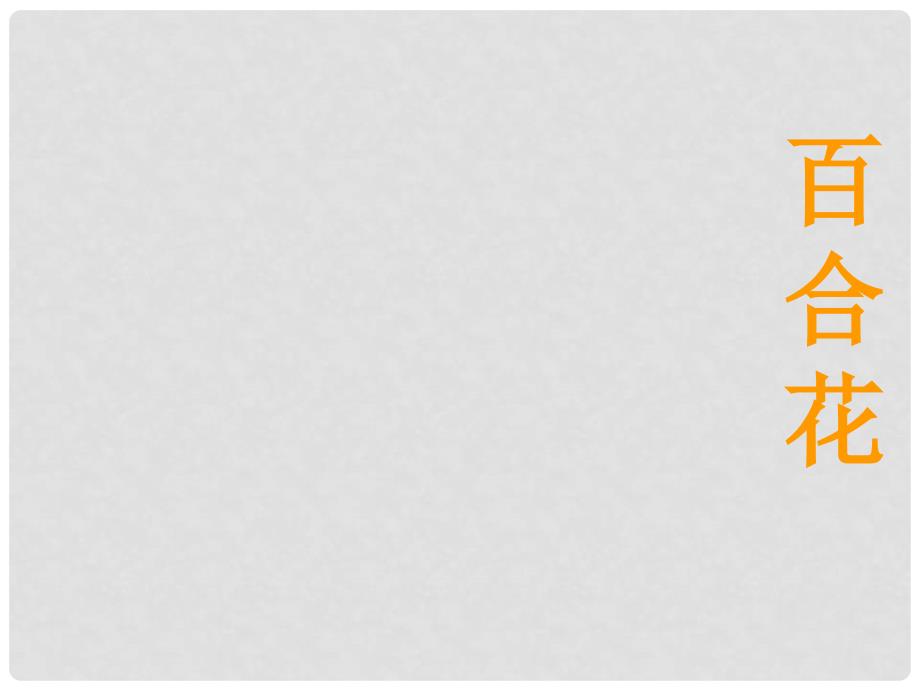 河北省邢台市临西一中九年级语文下册《百合花》课件 冀教版_第1页