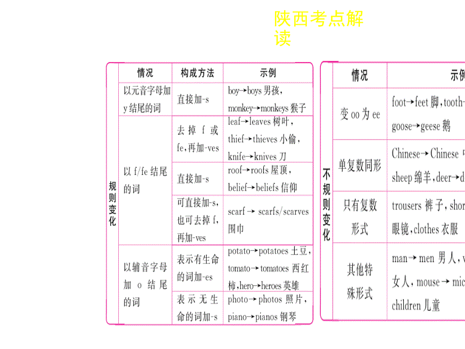 中考英语总复习专题一名词课件_第4页