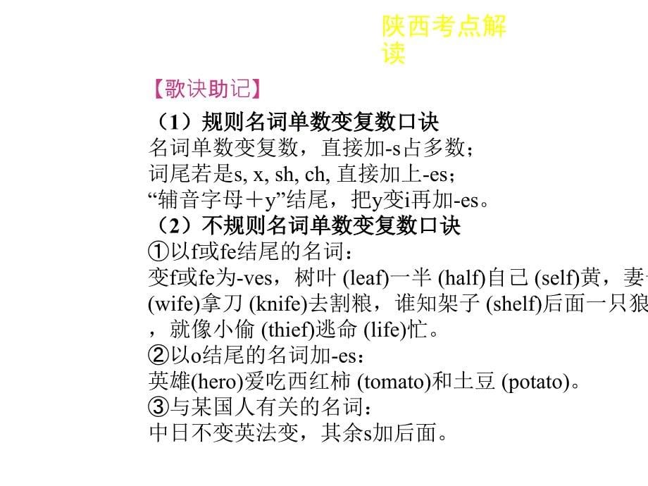 中考英语总复习专题一名词课件_第5页