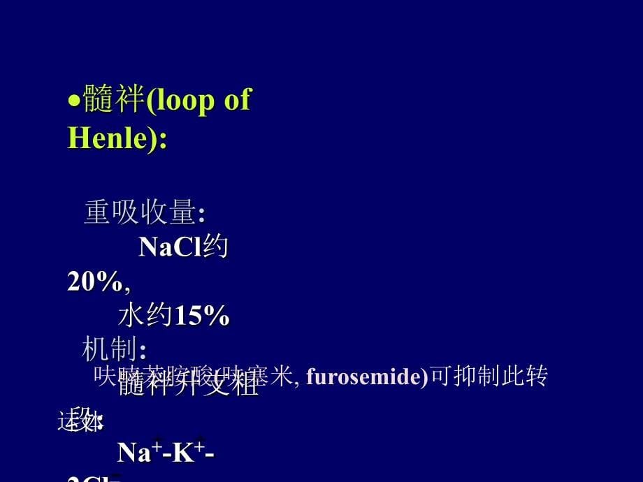 第八章重吸收分泌_第5页