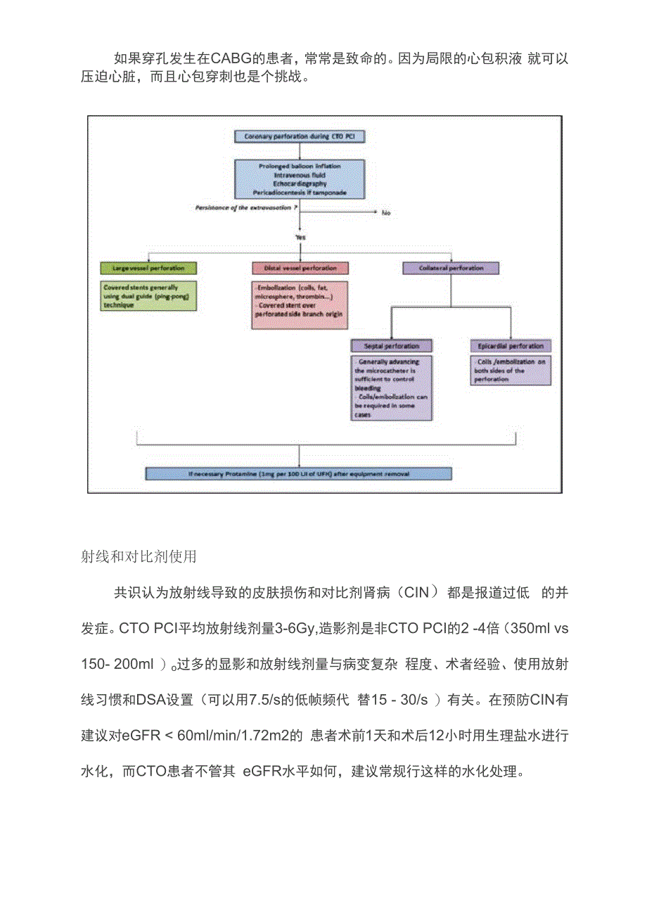 2019欧洲CTO PCI专家共识解读_第4页