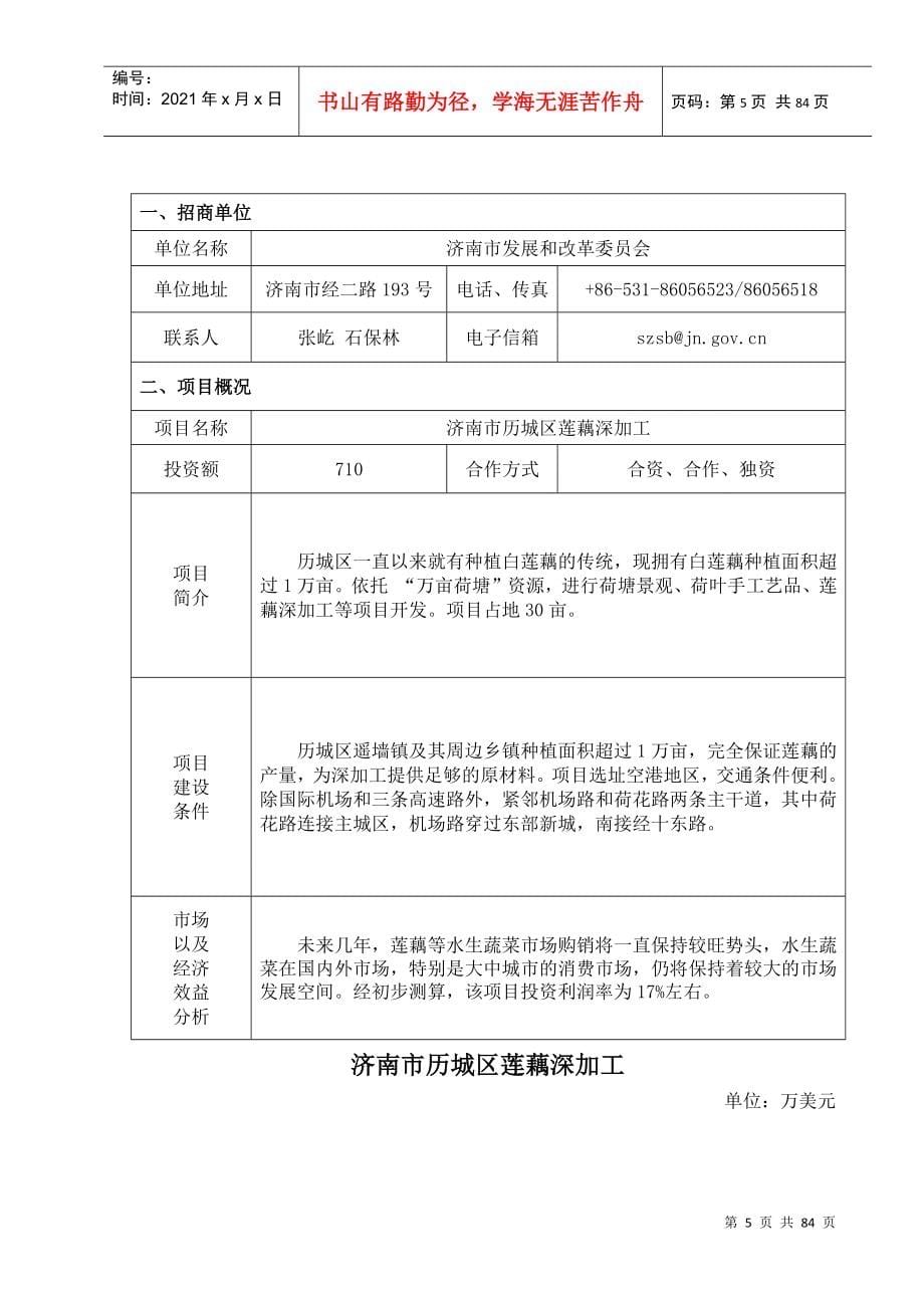 济南市对外招商项目目录_第5页