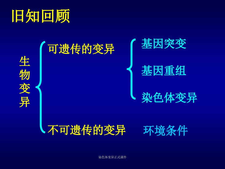 染色体变异正式课件_第2页