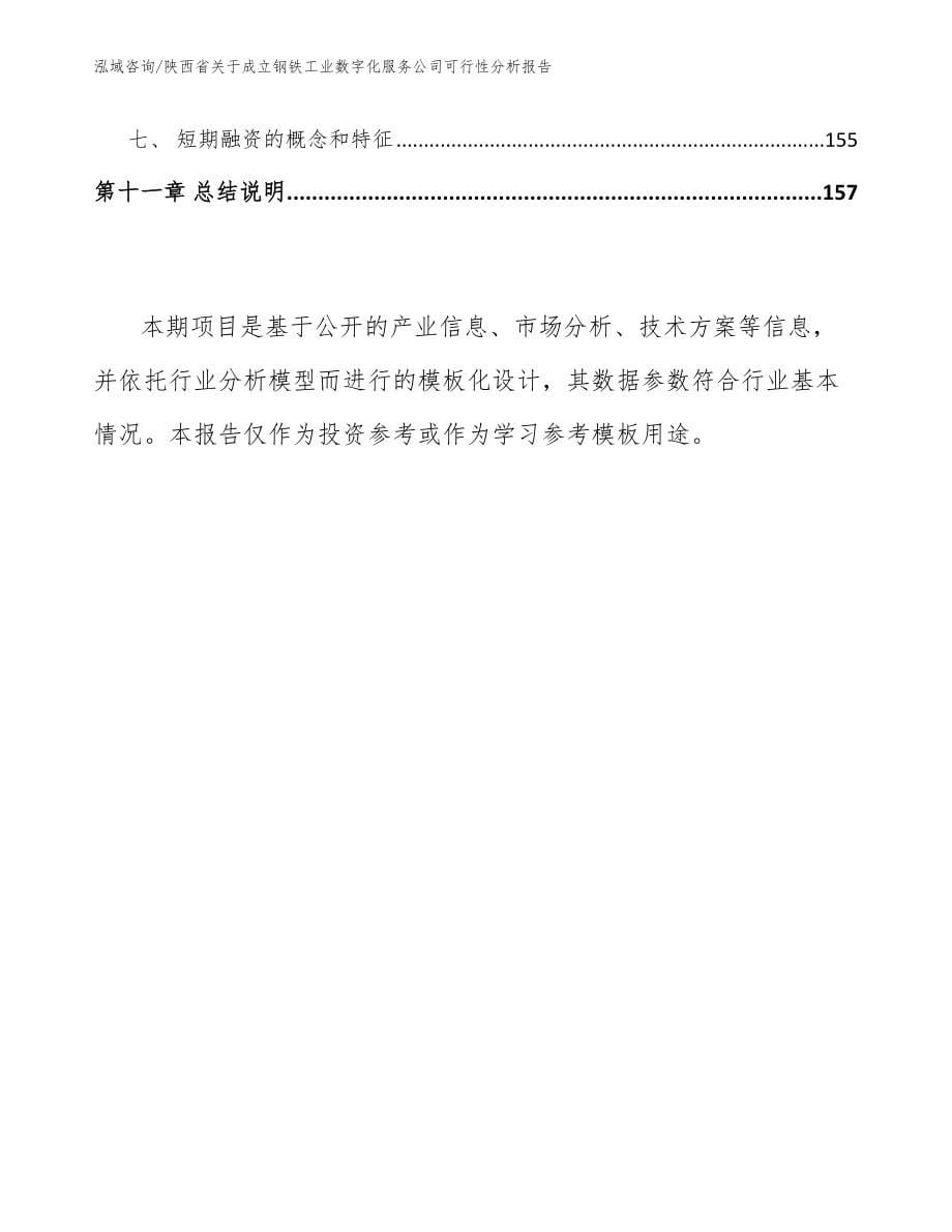 陕西省关于成立钢铁工业数字化服务公司可行性分析报告_范文模板_第5页