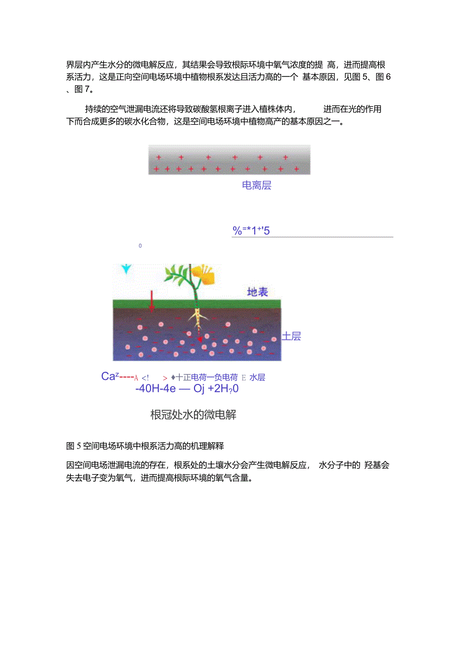 空间电场调控植物生长和病害预防技术基本知识_第3页