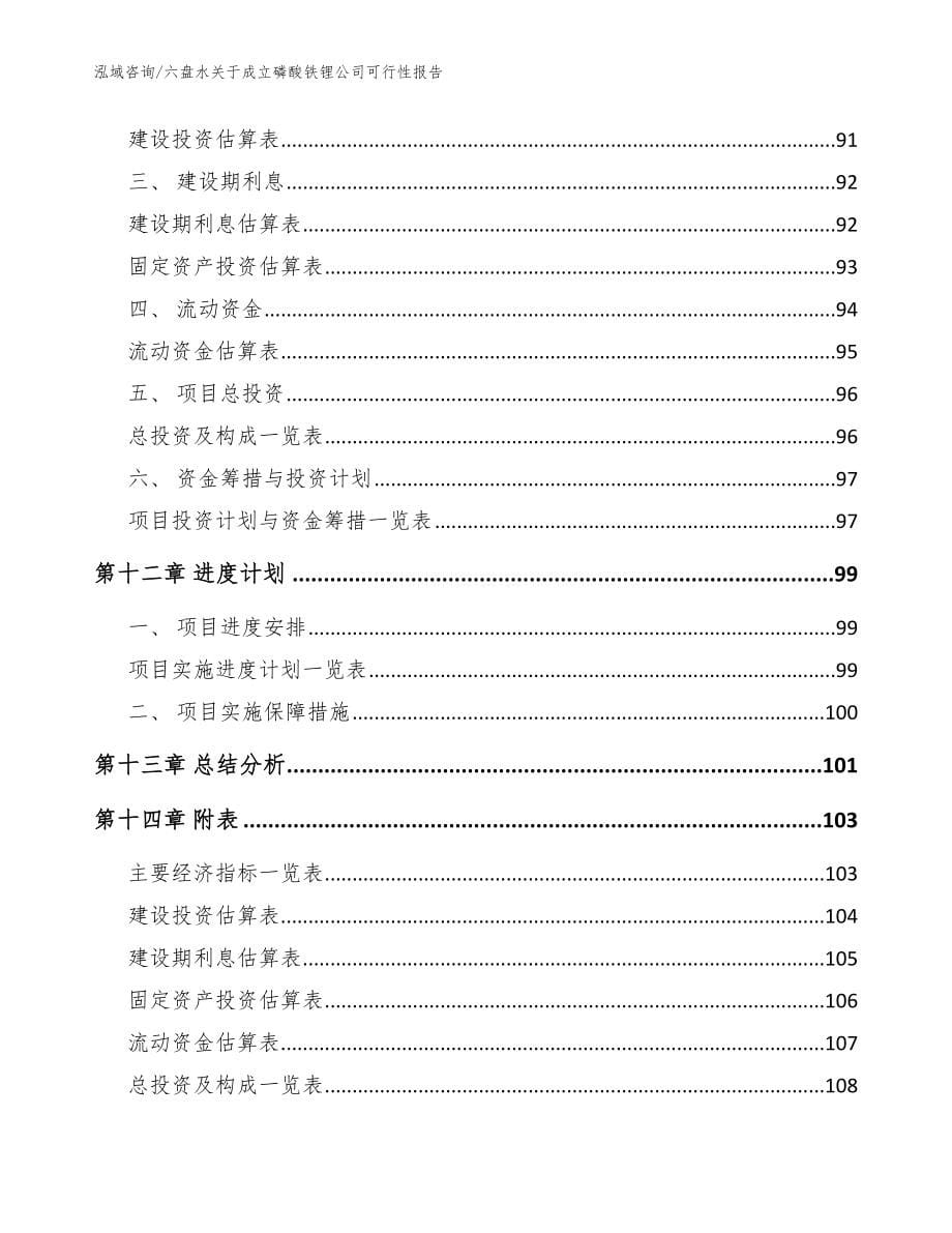 六盘水关于成立磷酸铁锂公司可行性报告_第5页