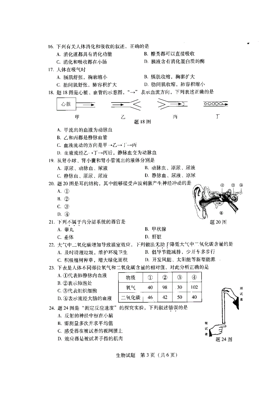 2015年广东省初中生物会考试题.doc_第3页