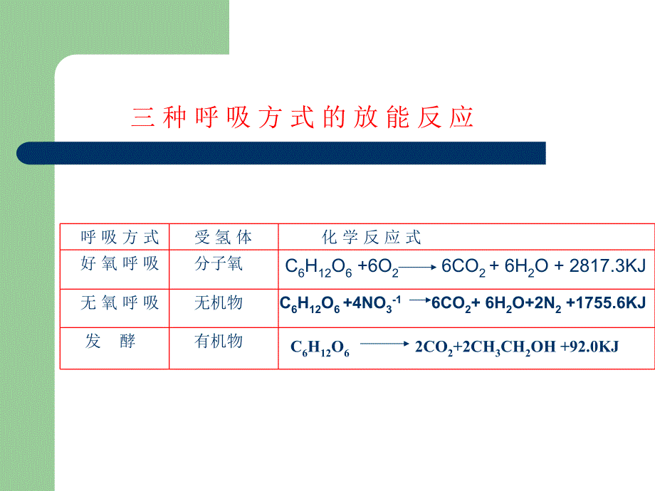 【环境课件】第十一章 废水生物处理的基本概念和生化反应动力学基础_第3页