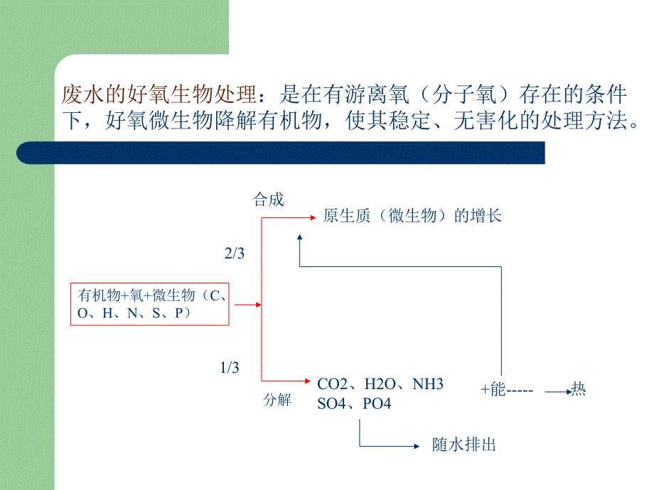 【环境课件】第十一章 废水生物处理的基本概念和生化反应动力学基础_第4页