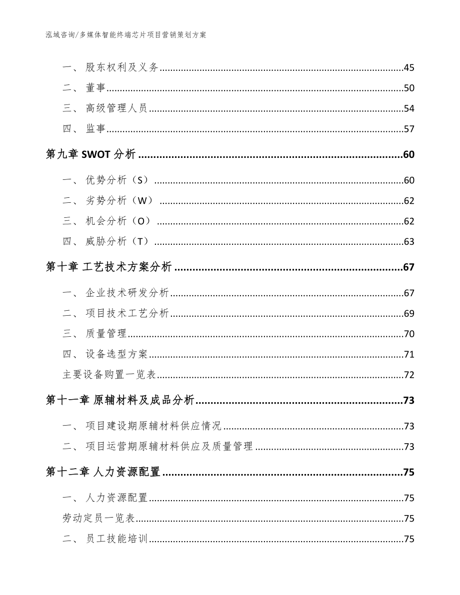 多媒体智能终端芯片项目营销策划方案【范文】_第4页