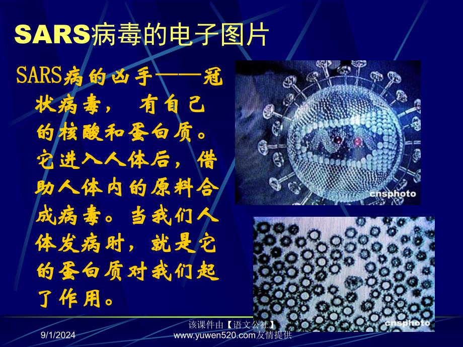 高中化学生命的基础－蛋白质_第2页