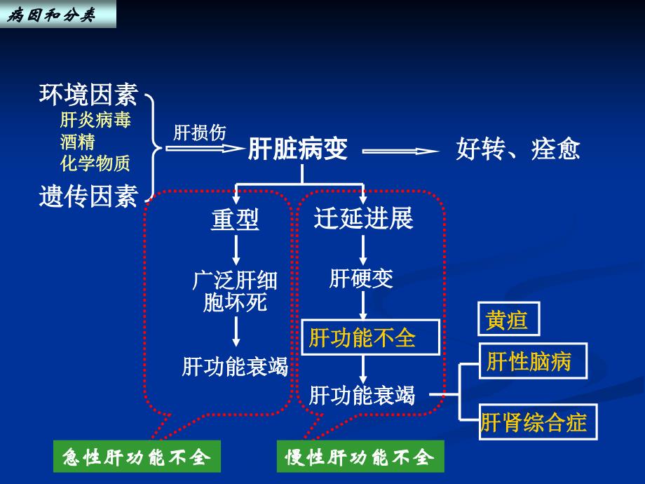 肝功能不全2012护理学_第4页