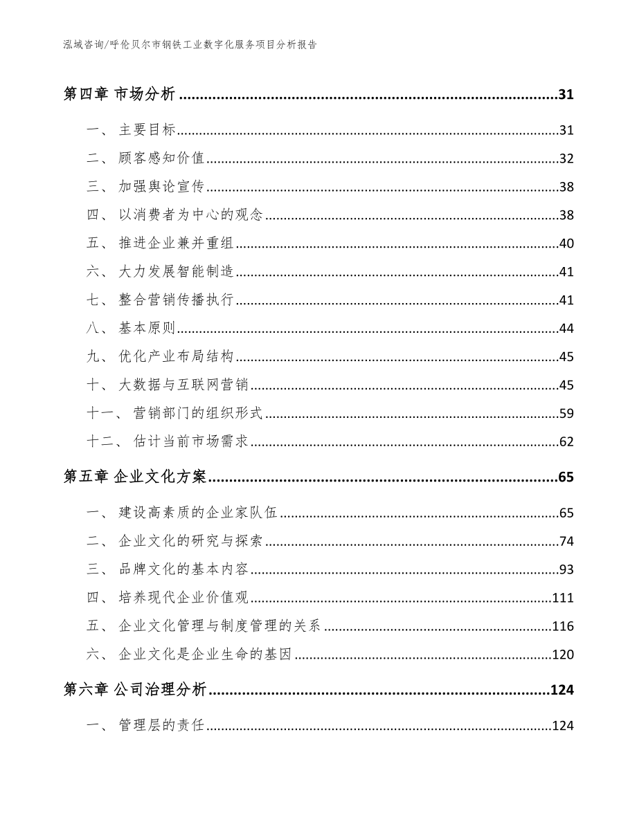 呼伦贝尔市钢铁工业数字化服务项目分析报告（模板参考）_第3页