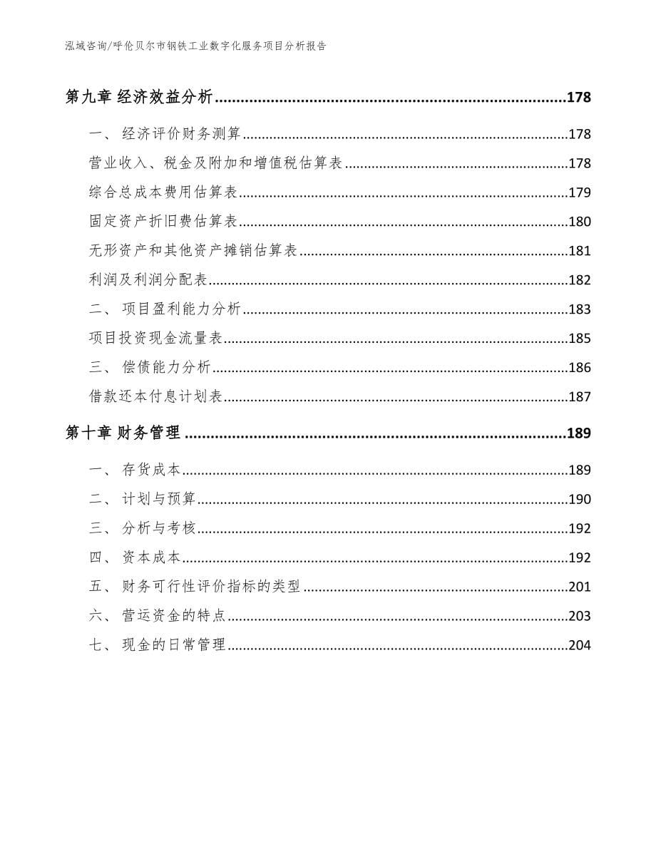 呼伦贝尔市钢铁工业数字化服务项目分析报告（模板参考）_第5页