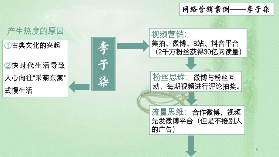 网络营销案例分析网红及品牌分析共5页_第3页