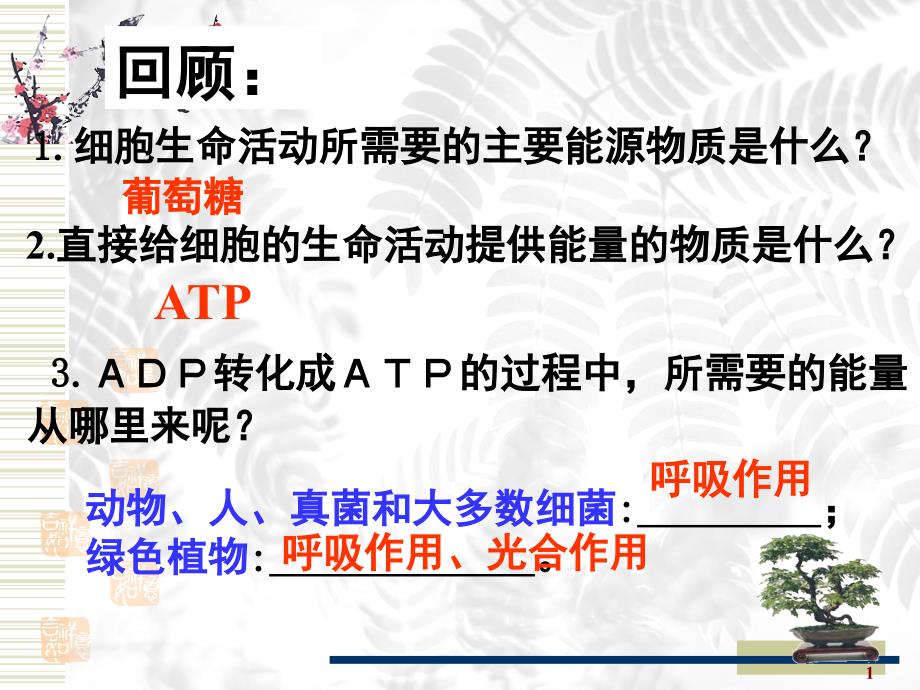 ATP的主要来源细胞呼吸.ppt_第1页