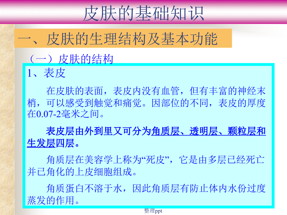 皮肤基础知识新版本_第3页