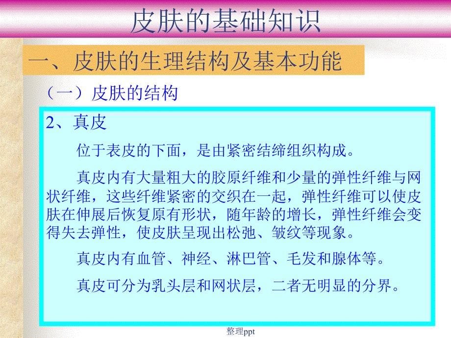 皮肤基础知识新版本_第5页