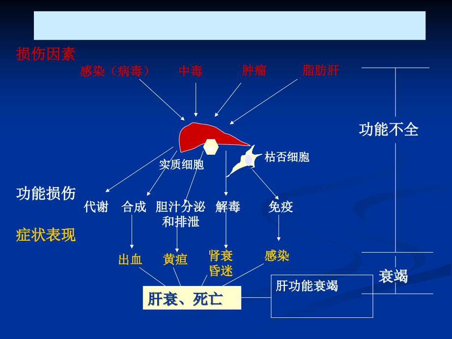 儿童暴发性肝功能衰竭_第4页