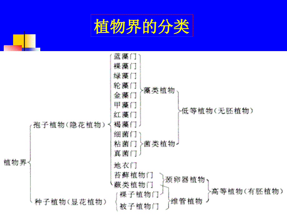 生物显微技术7_第4页